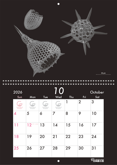 地質標本館オリジナルカレンダー（2026年）