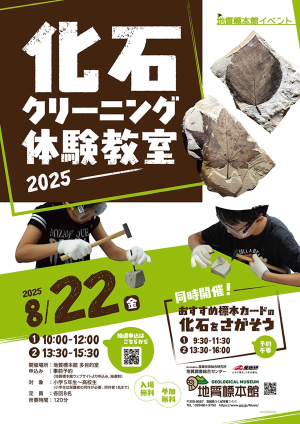 地質標本館 イベント「化石クリーニング体験教室―2025―」