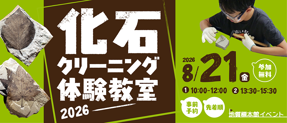 地質標本館イベント「化石クリーニング体験教室―2026―」