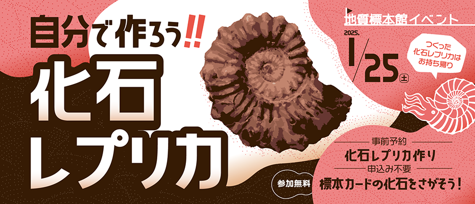 地質標本館イベント「自分で作ろう！！化石レプリカ」