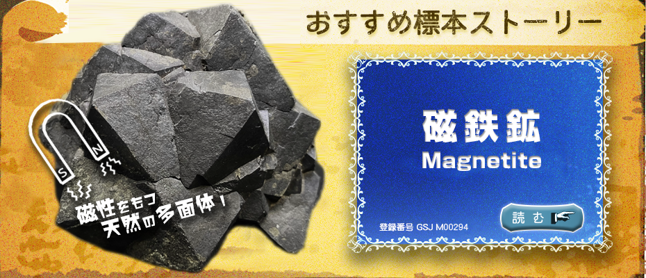 地質標本館 おすすめ標本ストーリー