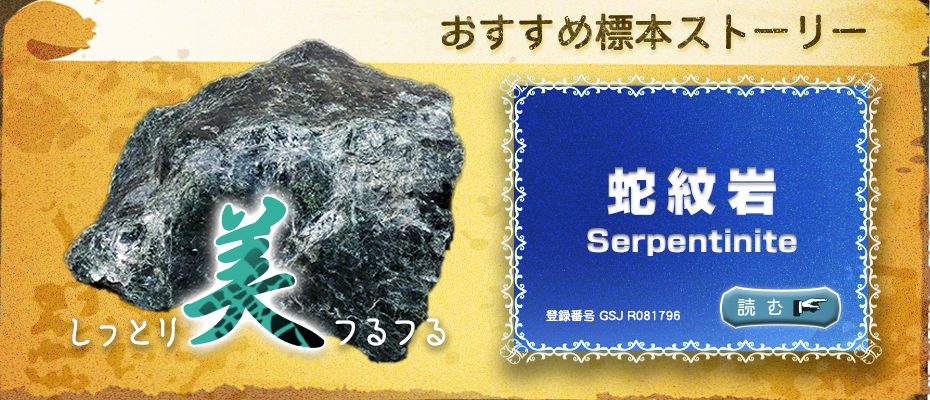 地質標本館 おすすめ標本ストーリー