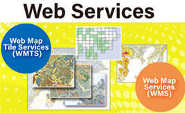 Web Services