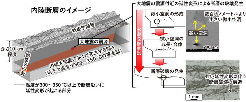 Nucleation of fault failure around hypocenters of large earthquakes ― Uncovering the role of ductile deformation in fault failure ―