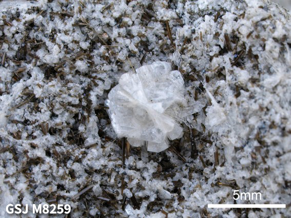 九州地方の県の石