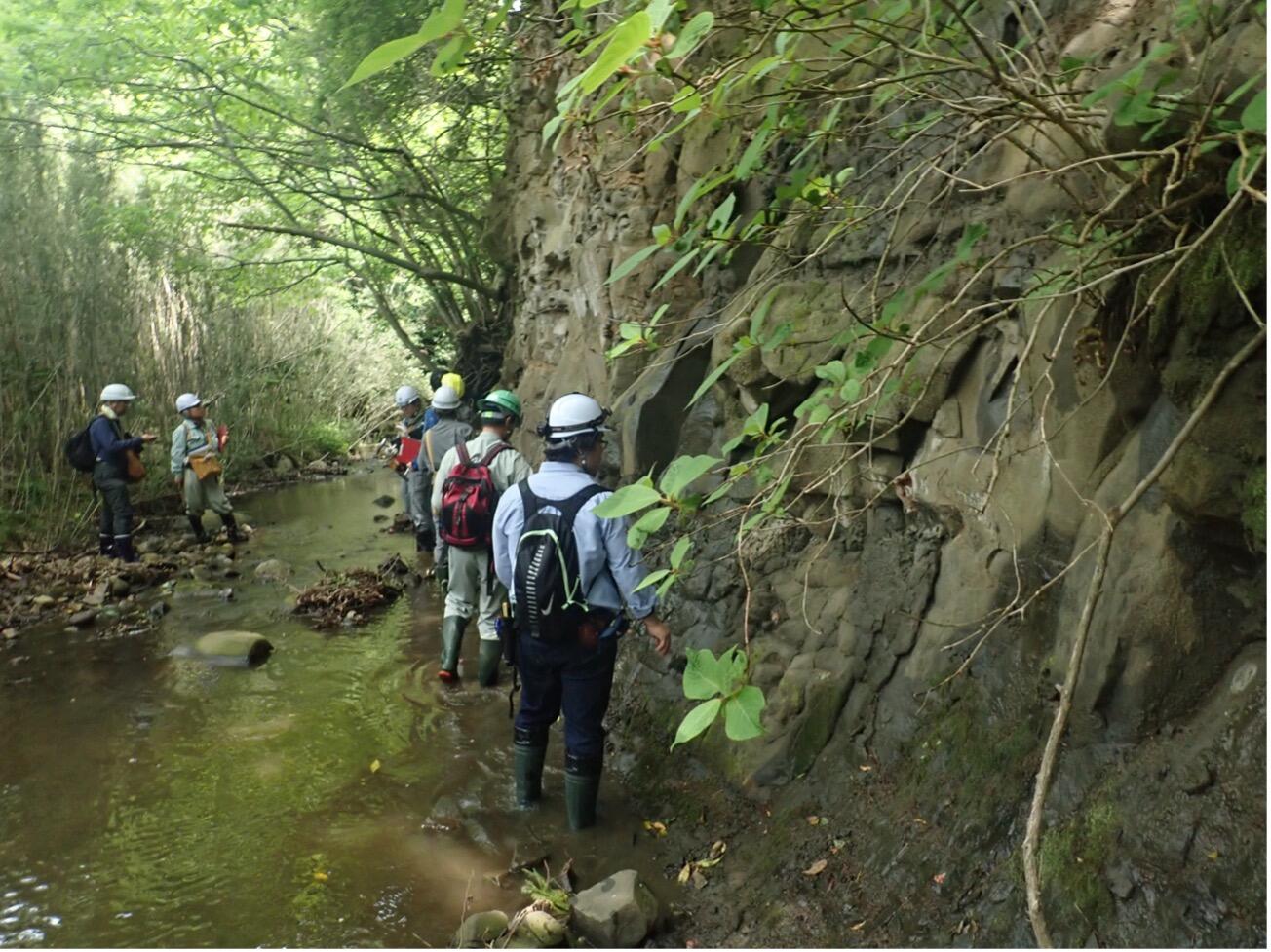 広野町の土ヶ目木の沢での調査