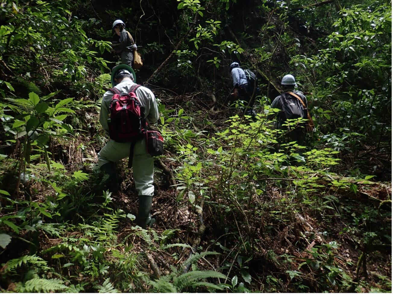 広野町長畑北方の沢での調査