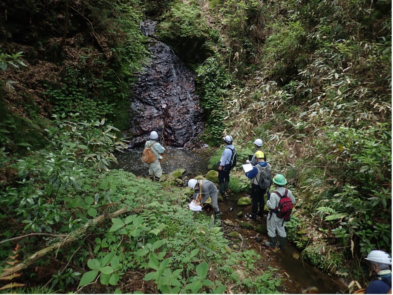 広野町長畑北方の沢での調査