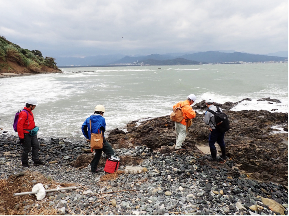 結晶片岩の露頭観察(西海岸)