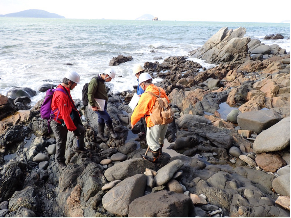 結晶片岩と花崗岩類の境界付近での露頭観察(西海岸)