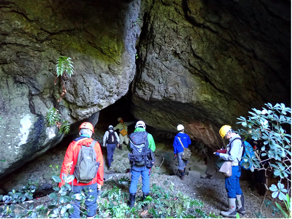 水中火砕流堆積物の観察(小伊津漁港付近の海蝕洞)