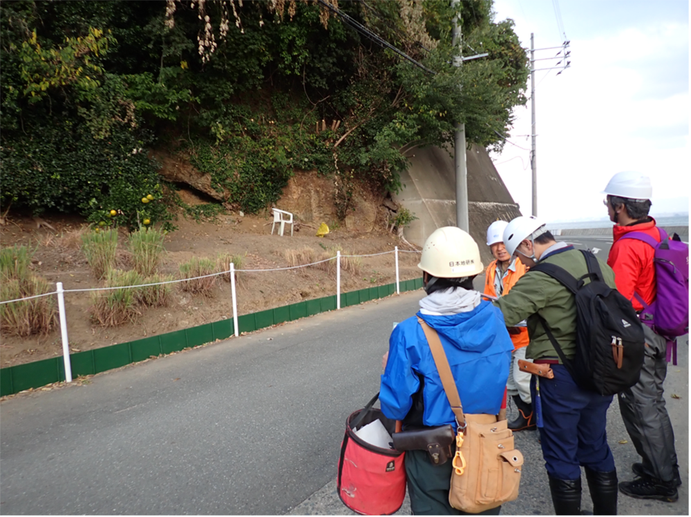 結晶片岩と古第三紀層の不整合露頭の観察(南東海岸付近)