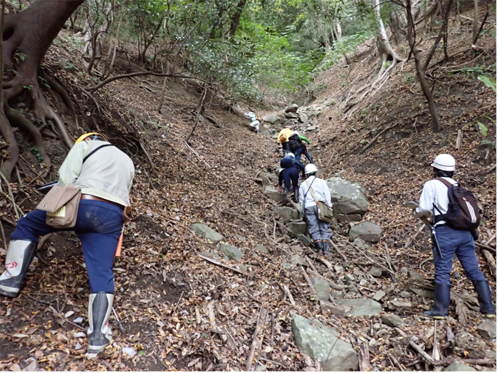 矢代岳に向かう沢での調査の様子(三津町)