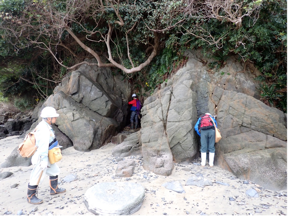 花崗岩類の露頭で断層や貫入岩の観察(東海岸)