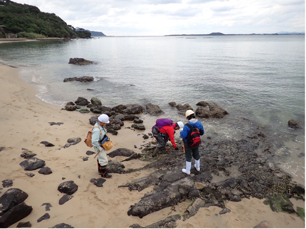 海岸における玄武岩露頭の観察(東海岸)