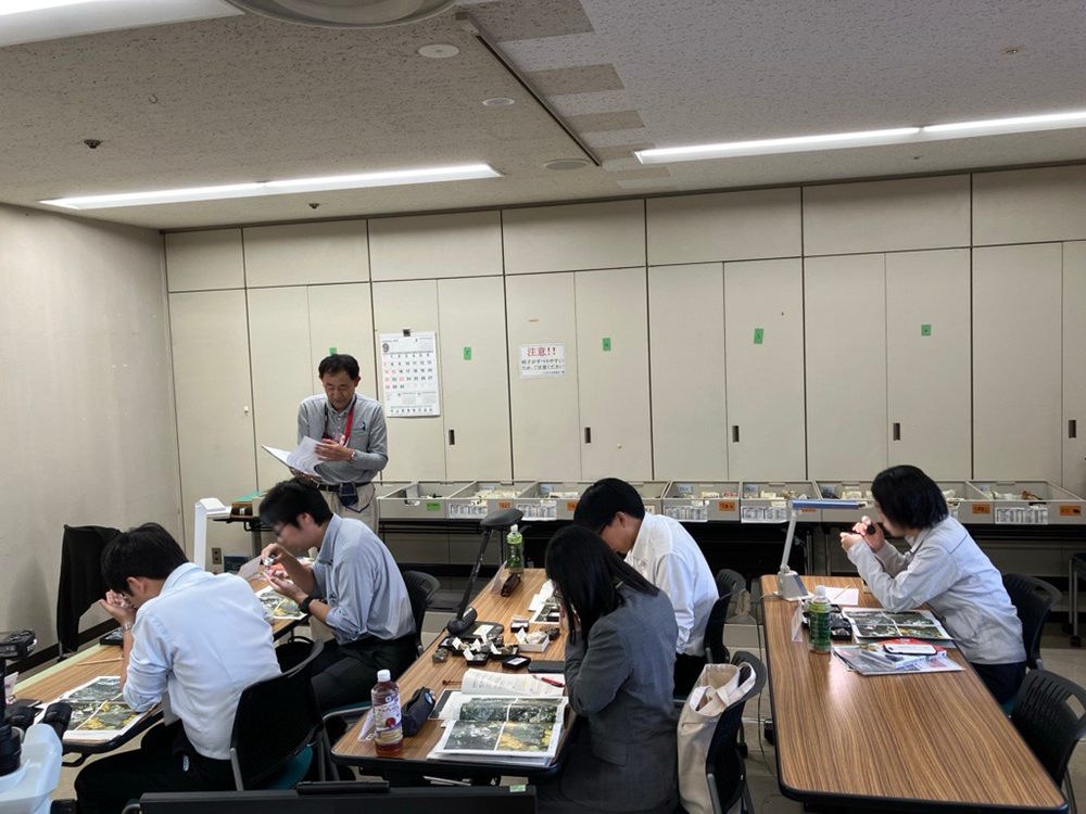第8回 鉱物肉眼鑑定研修　標本を用いた観察