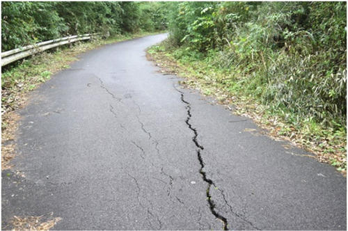 余震分布域を横切る測線上（地点1：円谷町－岩倉間の舗装道路）で観察された開口亀裂。