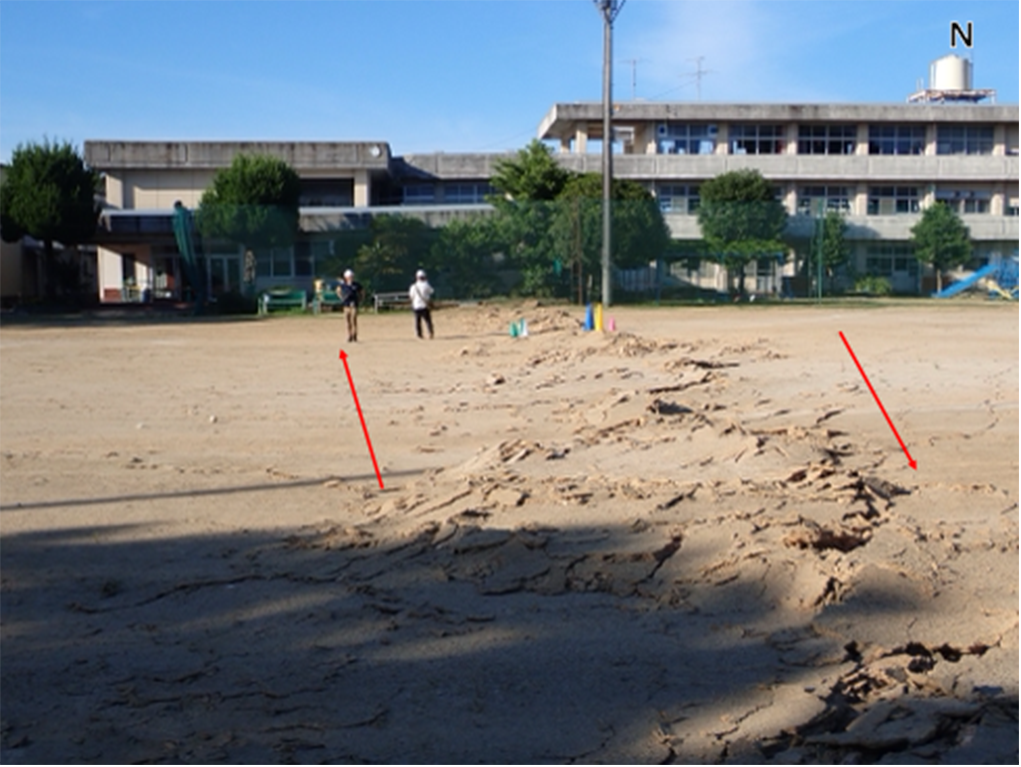 写真10 熊本県八代市岡町の八代市立龍峯小学校の校庭に見られる右横ずれ変位とずれによって生じたモールトラック。校庭に引かれていた白線を基準にした時の右横ずれ変位量は94cm。写真は北方向に向かって撮影。 (2026年7月31日撮影)