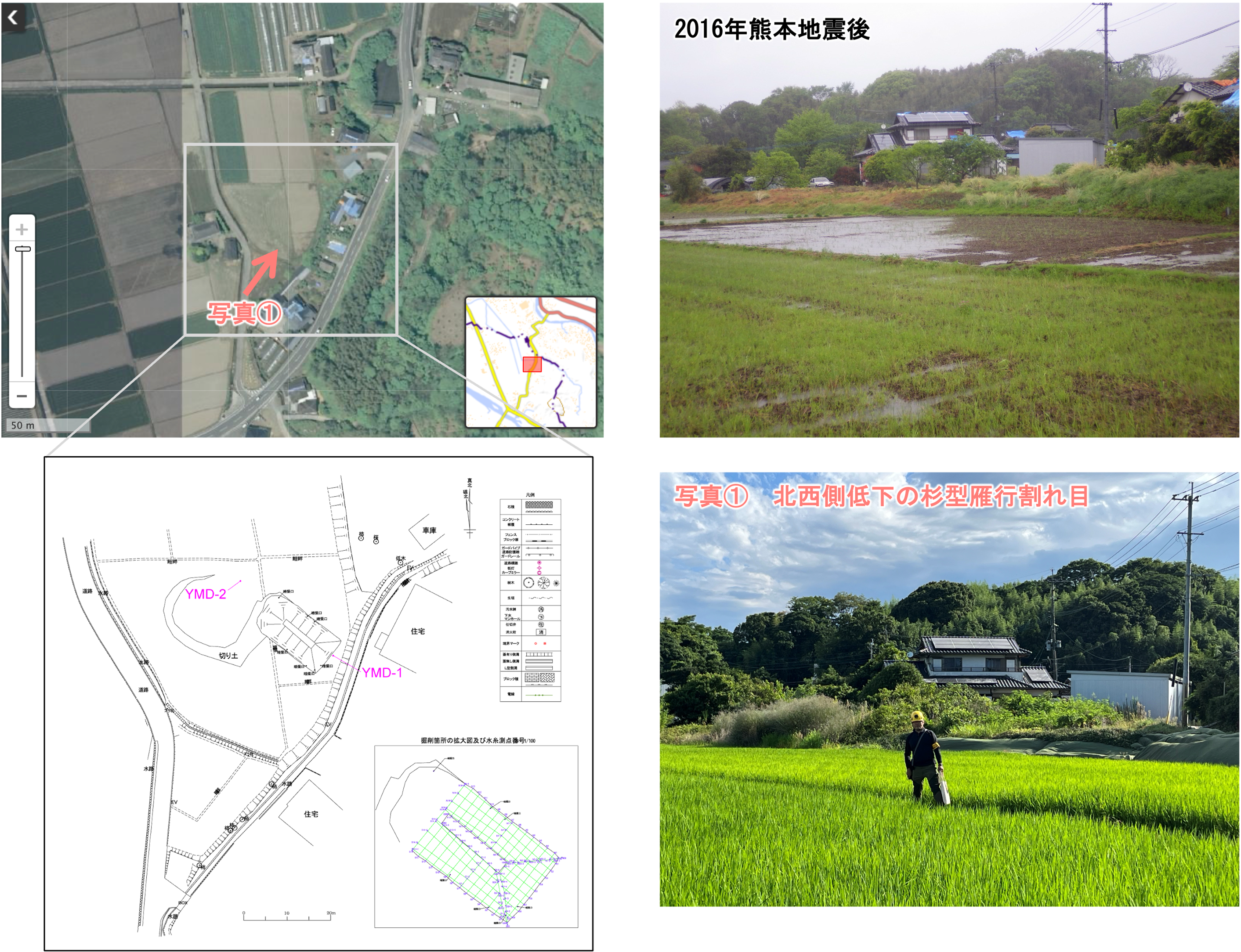 図2 山出トレンチ(甲佐町白旗)の調査結果 左上:地理院地図(写真;https://maps.gsi.go.jp/;以下同様)に写真撮影位置・方向を示した。左下:2016年度にトレンチ調査を行った際の平面測量図。右上:2016年熊本地震直後に撮影した写真(亀高正男氏撮影)。田んぼに杉型雁行割れ目が見られ、左手側(北西側)に水が溜まっていることから、こちら側が低下したことが分かる。右下:2026年に同じ方向に撮影した写真。人物の足下に地表地震断層が認められた。