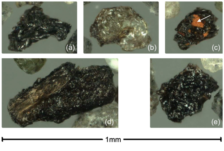 7月2日に採取された新燃岳火山灰に含まれる光沢を有し発泡痕をもつ黒色〜暗褐色のガラス片(DG)。