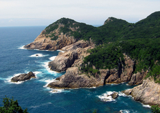 Well-exposed Miocene granite at the Usubae coast of the Cape Ashizuri plutonic complex